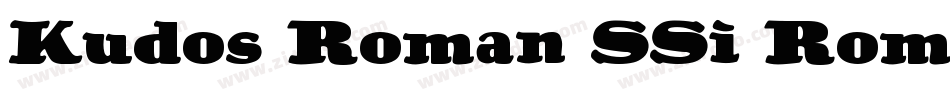Kudos Roman SSi Roman字体转换